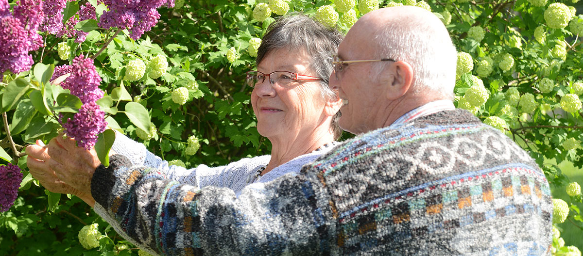 В доме престарелых можно проживать за пенсию